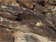 Grapevine Canyon Petroglyphs