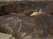 Grapevine Canyon Petroglyphs