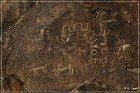 Grapevine Canyon Petroglyphs