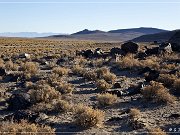 Grimes Point Petroglyphs