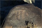 Grimes Point Petroglyphs