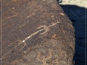 Grimes Point Petroglyphs