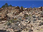 Hickison Petroglyph Site