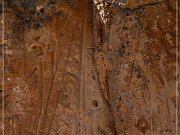 Hickison Petroglyph Site