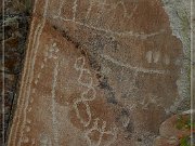 Moores Station Petroglyphs