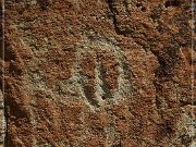 Moores Station Petroglyphs