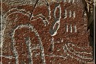 Moores Station Petroglyphs