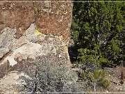 Paiute Rocks Area