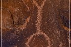 Whitney Pocket Petroglyphs