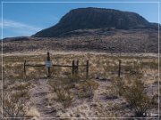 Alamo Mountain Petroglyphs