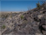 Alamo Mountain Petroglyphs