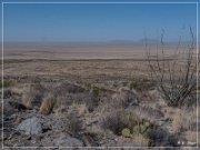 Alamo Mountain Petroglyphs