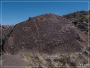 Alamo Mountain Petroglyphs