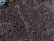 Alamo Mountain Petroglyphs