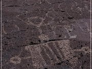 Alamo Mountain Petroglyphs