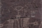 Alamo Mountain Petroglyphs