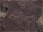 Alamo Mountain Petroglyphs