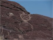 Alamo Mountain Petroglyphs