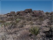 Alamo Mountain Petroglyphs