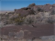 Alamo Mountain Petroglyphs