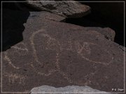 Alamo Mountain Petroglyphs