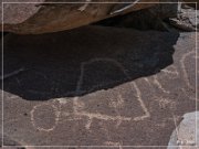 Alamo Mountain Petroglyphs