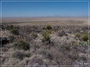 Alamo Mountain Petroglyphs