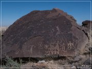 Alamo Mountain Petroglyphs