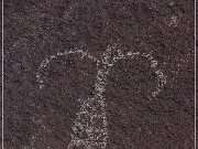 Alamo Mountain Petroglyphs