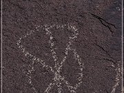 Alamo Mountain Petroglyphs