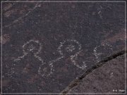 Alamo Mountain Petroglyphs