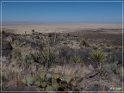 Alamo Mountain Petroglyphs