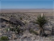 Alamo Mountain Petroglyphs