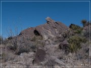 Alamo Mountain Petroglyphs