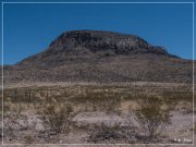 Alamo Mountain Petroglyphs