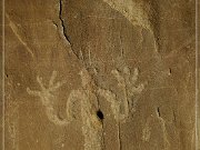 Petroglyph Trail