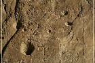 Petroglyph Trail