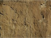 Petroglyph Trail