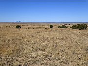 Dittert Site