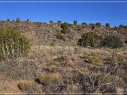 La Cieneguilla Petroglyphs