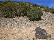 La Cieneguilla Petroglyphs