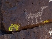 La Cieneguilla Petroglyphs