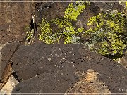 La Cieneguilla Petroglyphs