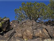 La Cieneguilla Petroglyphs