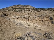 Lobo Canyon Petroglyphs