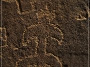 Lobo Canyon Petroglyphs