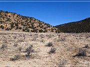 Lobo Canyon Petroglyphs