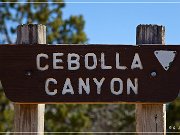 Lobo Canyon Petroglyphs