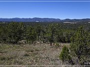 Mogollon Culture Petroglyph Site