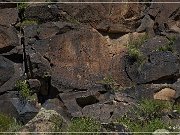 Mogollon Culture Petroglyph Site